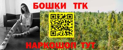 стафф Гусев