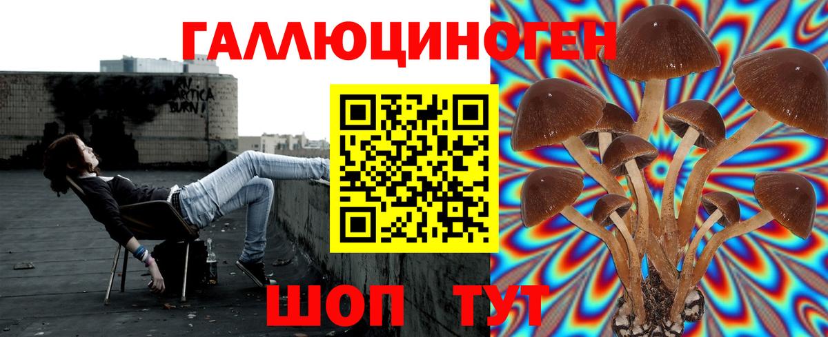 Галлюциногенные грибы мухоморы  что такое   Копейск  Вход с VPN  Псилоцибиновые грибы мицелий 